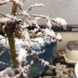 雪解け